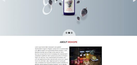 Mohope Website