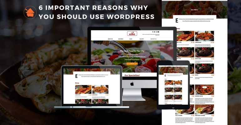 6 Important Reasons Why You Should Use WordPress